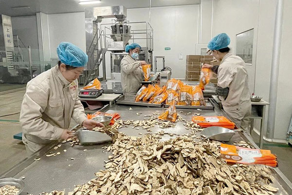PG电子·(中国)官方网站