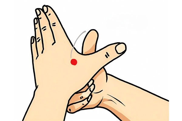 PG���ӡ�(�й�)�ٷ���վ