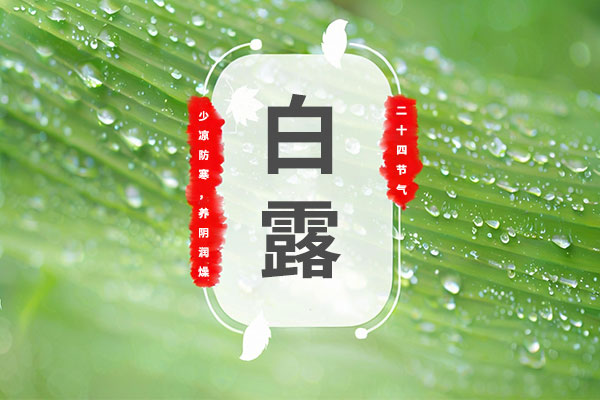 PG���ӡ�(�й�)�ٷ���վ