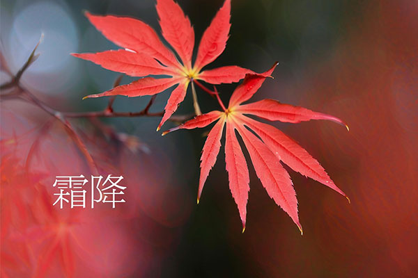 PG���ӡ�(�й�)�ٷ���վ